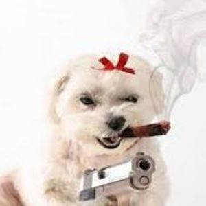 Meet your Posher, Jade